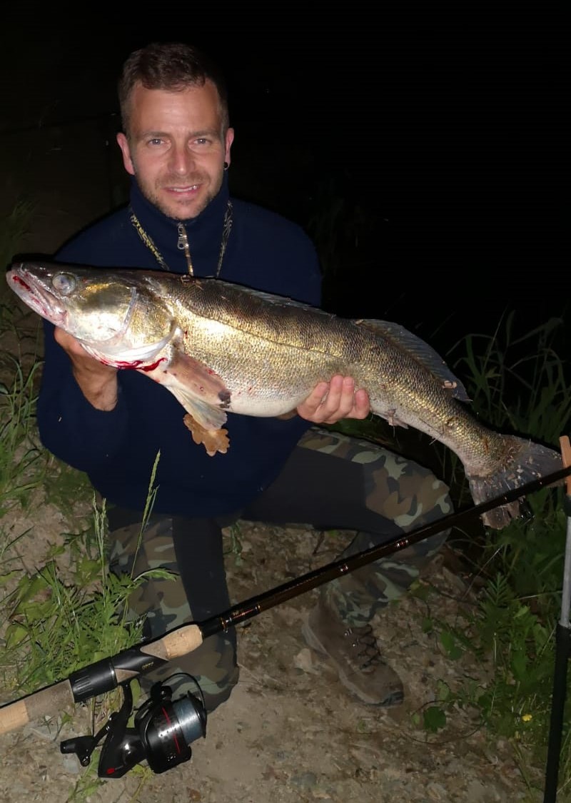 Schöner Zander beim Nachtangeln aus der Talsperre Zeulenroda. Petri Heil.